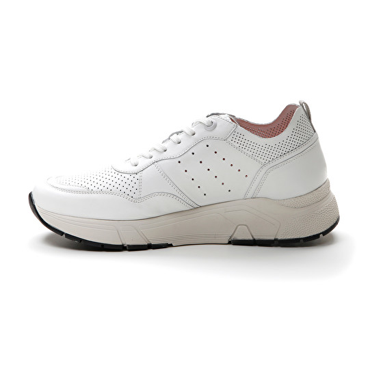 Stonefly ACTION 17 NAPPA LTH Novità